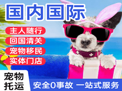 广州白云航空货运国际宠物托运 【国